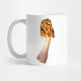 Early morel (Verpa bohemica) Mug